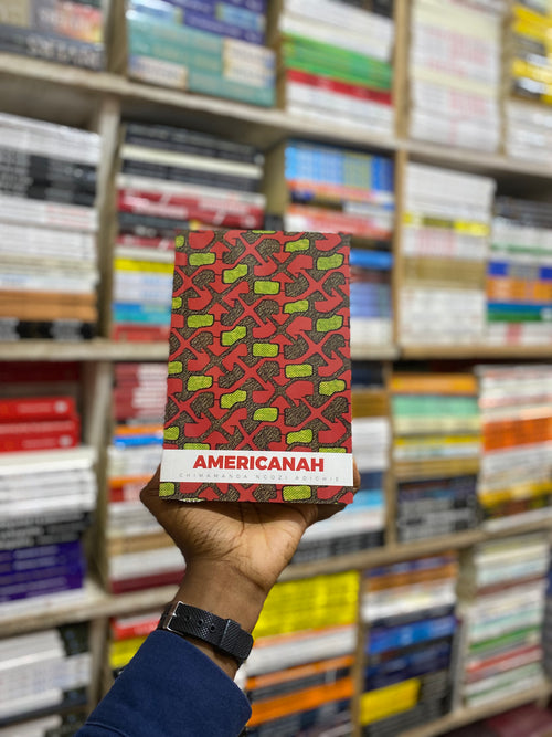 Americanah by Chimamanda Ngozi Adichie, alternate view